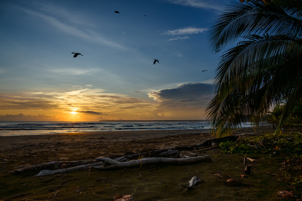 The vibrant landscape of Costa Rican Beach at sunset. Birds and the sun shining on the sky.