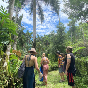 Inner Flight Retreat - Ayahuasca Retreat Costa rica