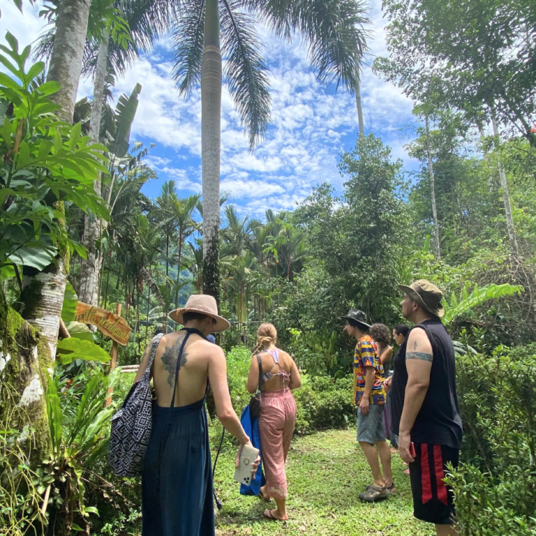 Inner Flight Retreat - Ayahuasca Retreat Costa rica