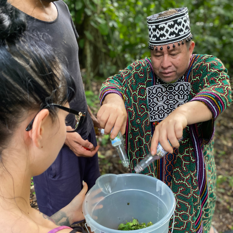 Inner Flight Retreat - Ayahuasca Retreat Costa rica