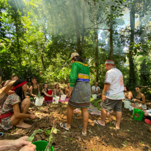 Inner Flight Retreat - Ayahuasca Retreat Costa rica