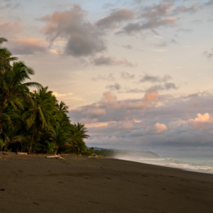 Inner Flight Retreat - Ayahuasca Retreat Costa rica