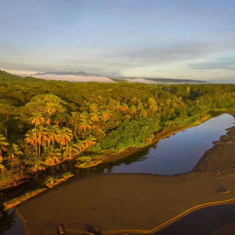 Inner Flight Retreat - Ayahuasca Retreat Costa rica