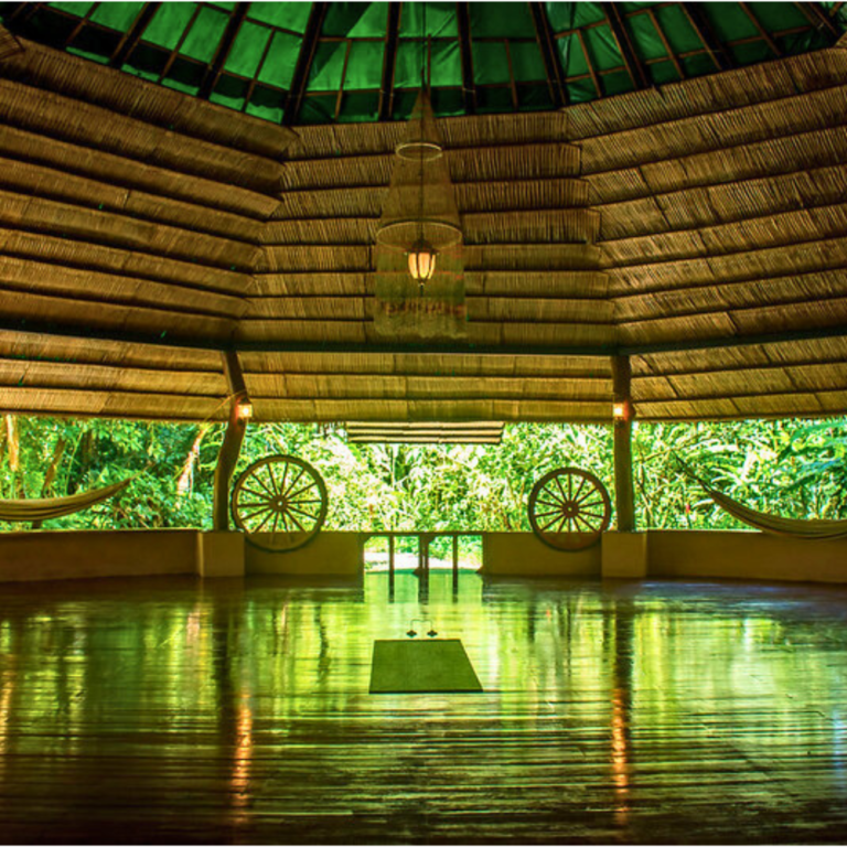 Ayahuasca Retreat Costa rica