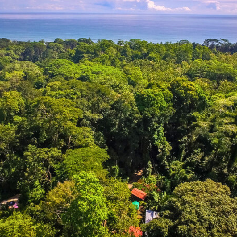 Ayahuasca Retreat Costa rica